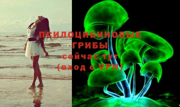 СК Балахна