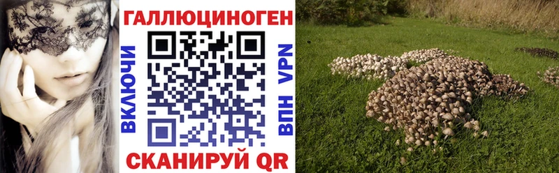 Галлюциногенные грибы ЛСД  наркотики  Ливны 